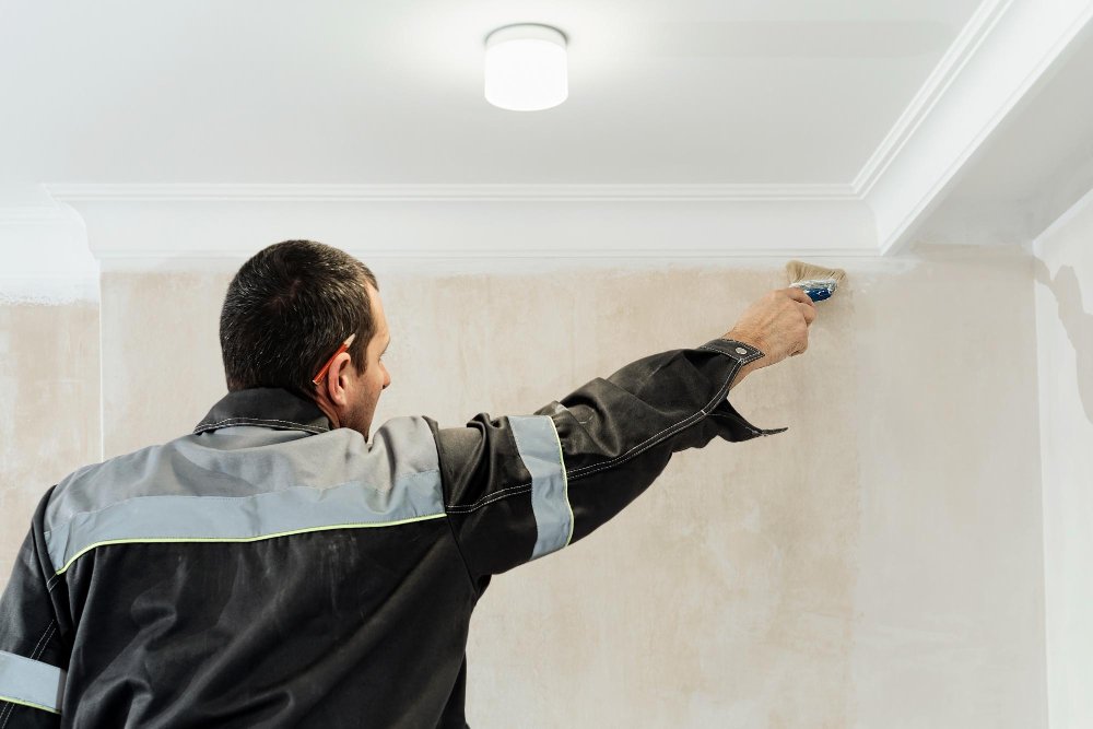 Professional Interior & Exterior Painting-3